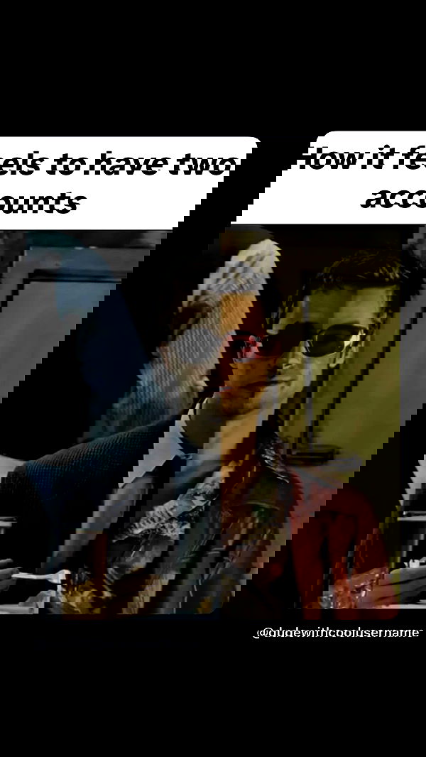 tuliprivet tuliprivet archive image