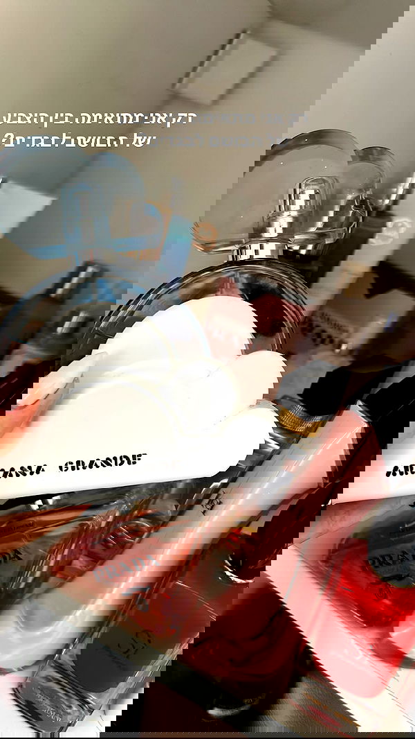 tuliprivet tuliprivet archive image