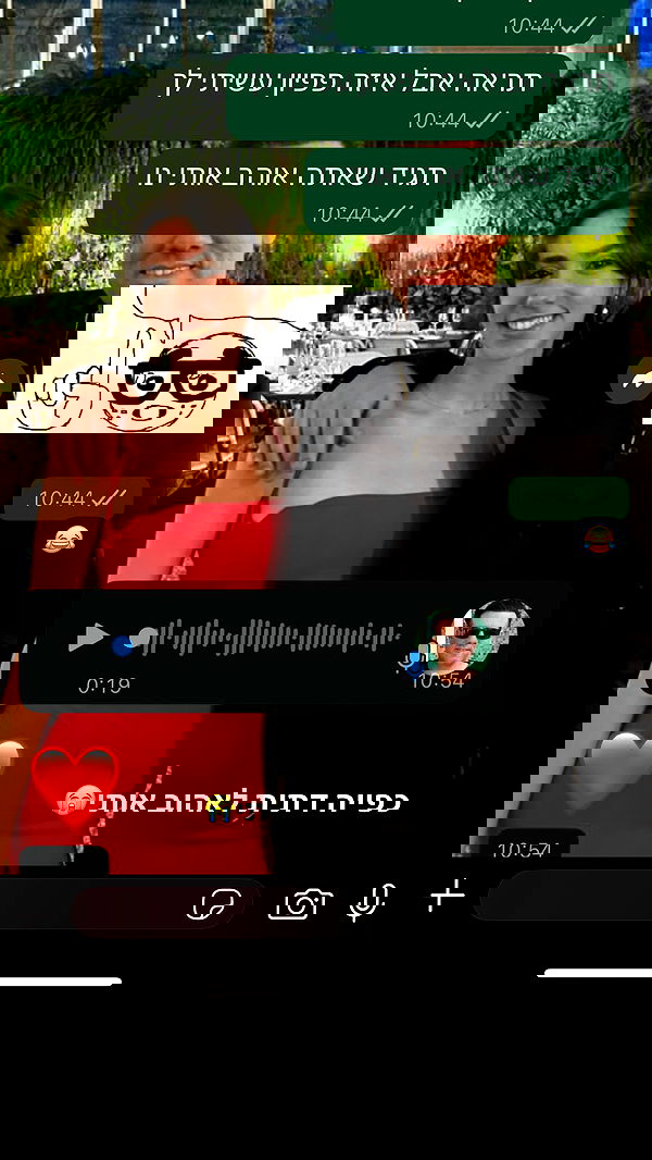 tuliprivet tuliprivet archive image