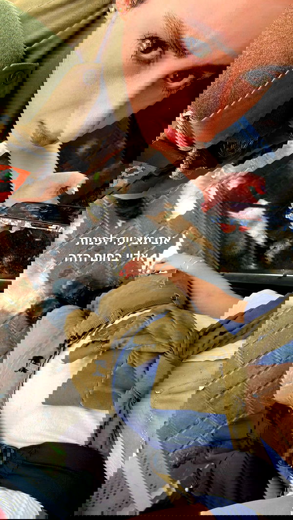 tuliprivet tuliprivet archive image