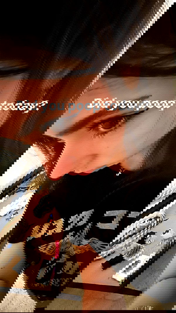 tuliprivet tuliprivet archive image