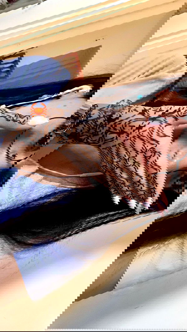 tuliprivet tuliprivet archive image