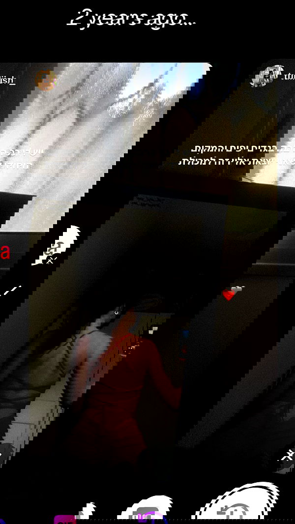 tuliprivet tuliprivet archive image