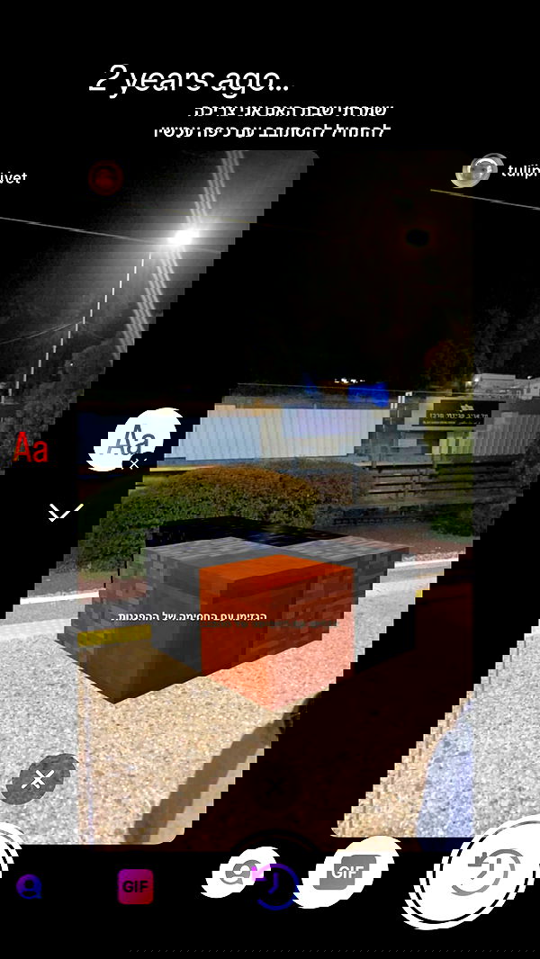 tuliprivet tuliprivet archive image