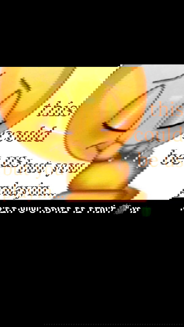 tuliprivet tuliprivet archive image