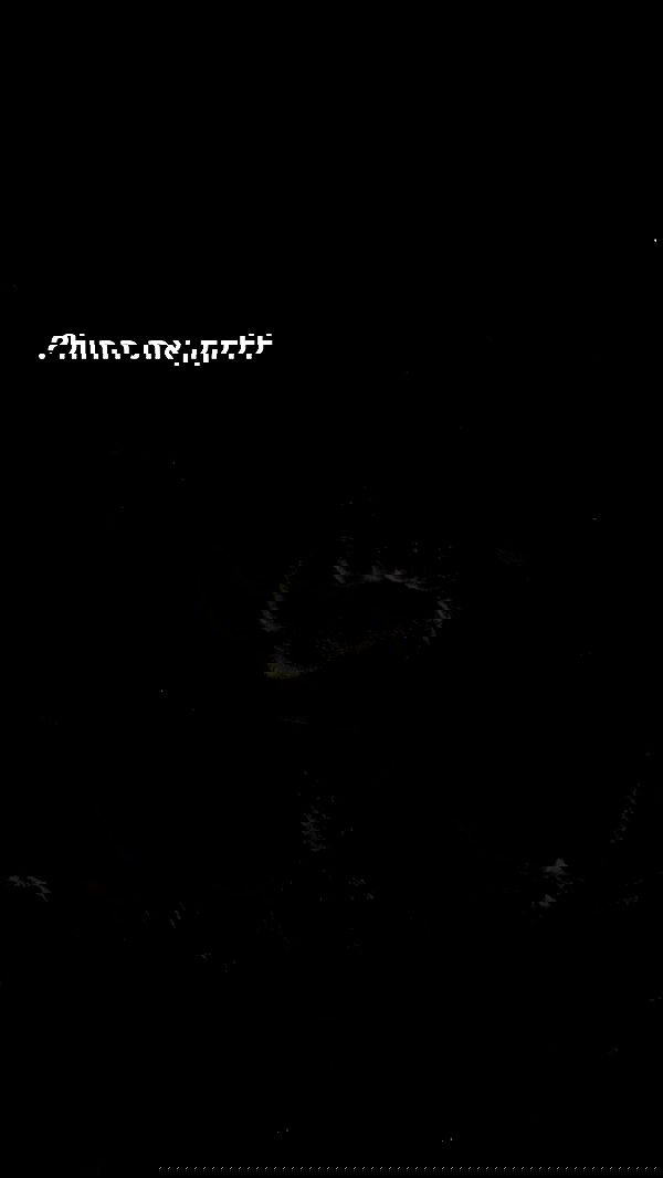 tuliprivet tuliprivet archive image