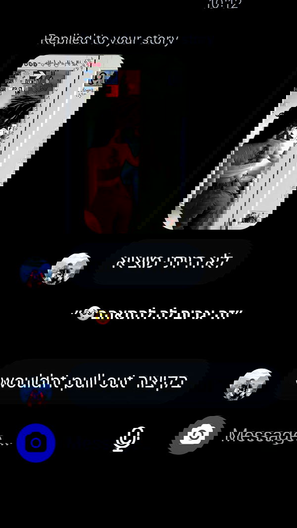 tuliprivet tuliprivet archive image