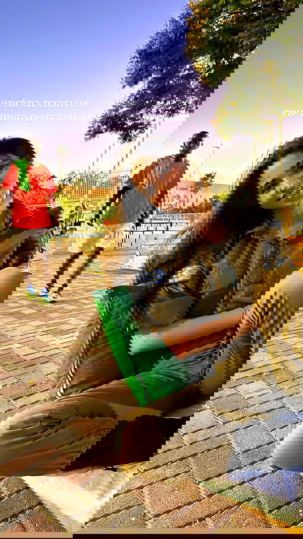 tuliprivet tuliprivet archive image