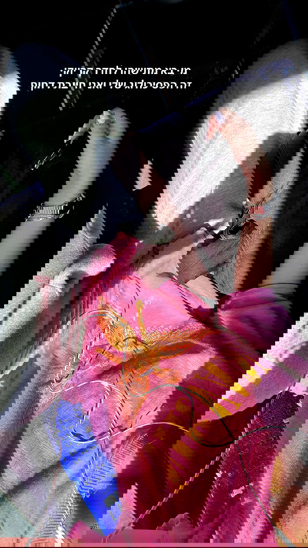 tuliprivet tuliprivet archive image