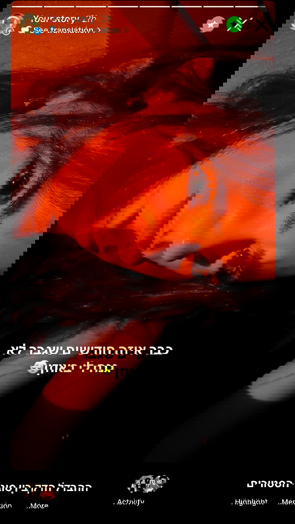 tuliprivet tuliprivet archive image