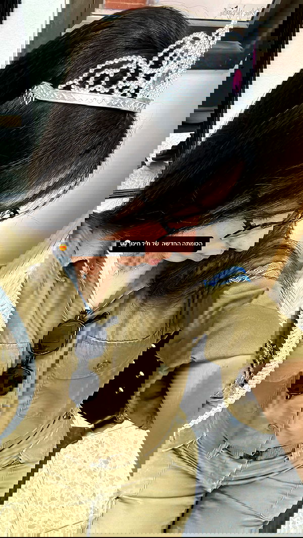 tuliprivet tuliprivet archive image