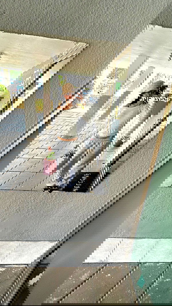 tuliprivet tuliprivet archive image