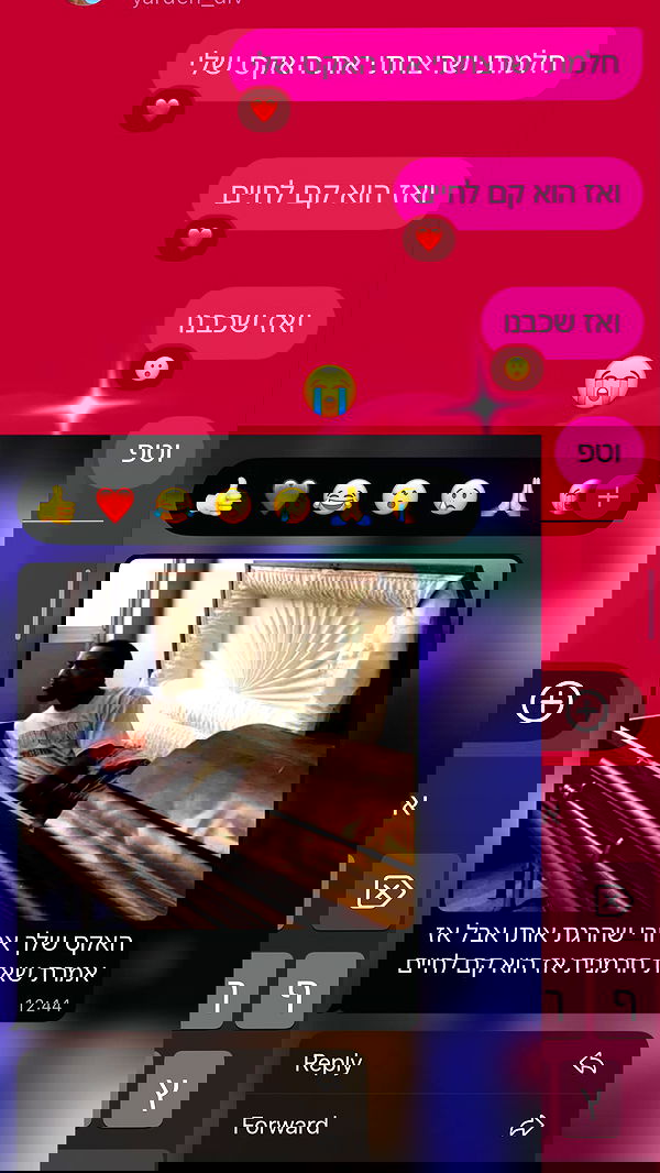 tuliprivet tuliprivet archive image