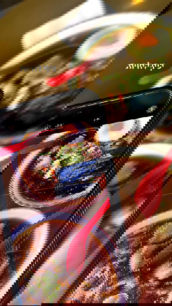 tuliprivet tuliprivet archive image