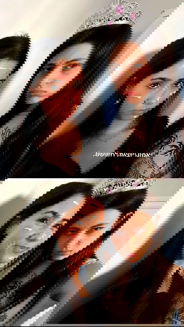 tuliprivet tuliprivet archive image