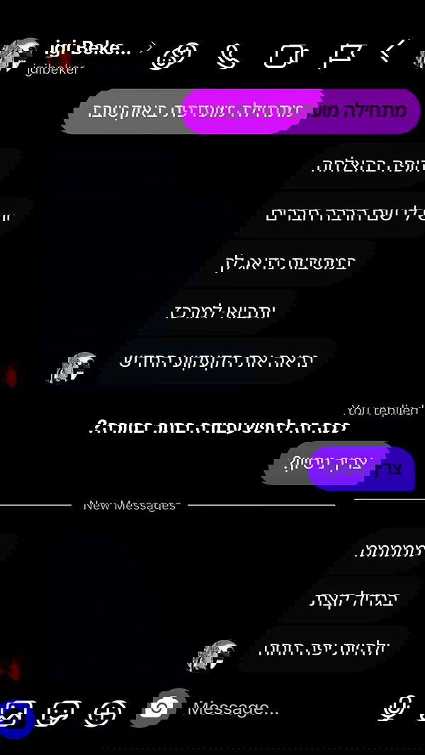 tuliprivet tuliprivet archive image