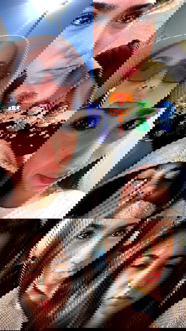 tuliprivet tuliprivet archive image