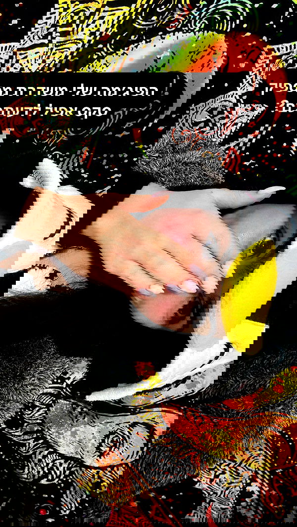 tuliprivet tuliprivet archive image