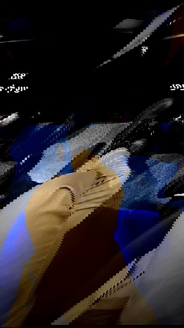 tuliprivet tuliprivet archive image