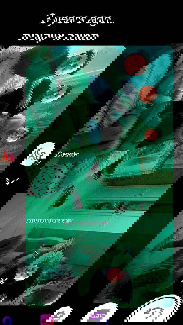 tuliprivet tuliprivet archive image