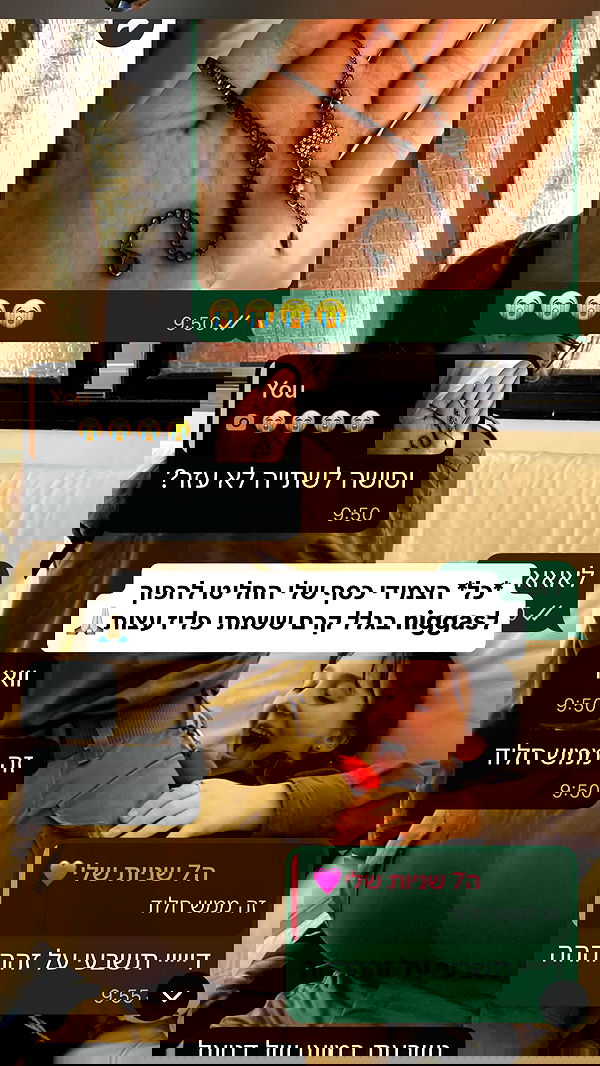 tuliprivet tuliprivet archive image