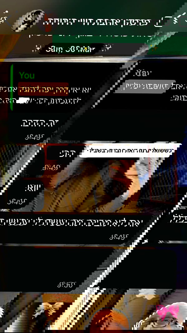 tuliprivet tuliprivet archive image