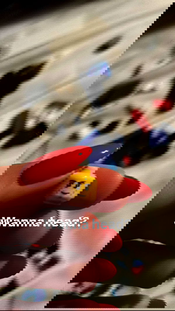 tuliprivet tuliprivet archive image