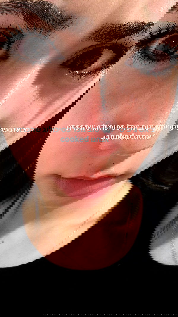 tuliprivet tuliprivet archive image