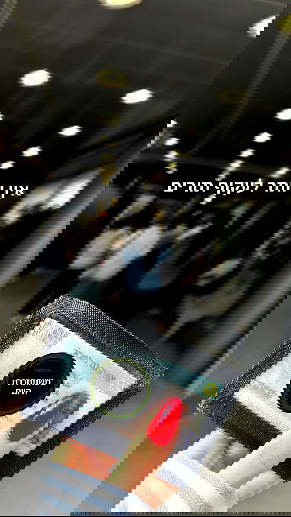 tuliprivet tuliprivet archive image