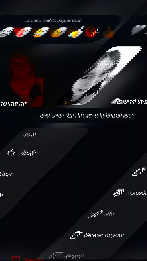 tuliprivet tuliprivet archive image