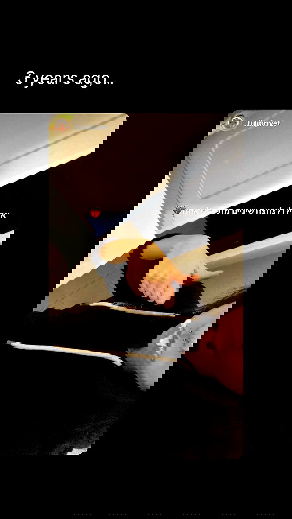 tuliprivet tuliprivet archive image