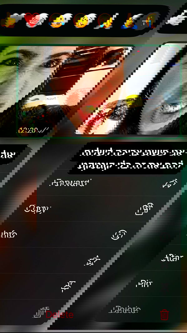 tuliprivet tuliprivet archive image