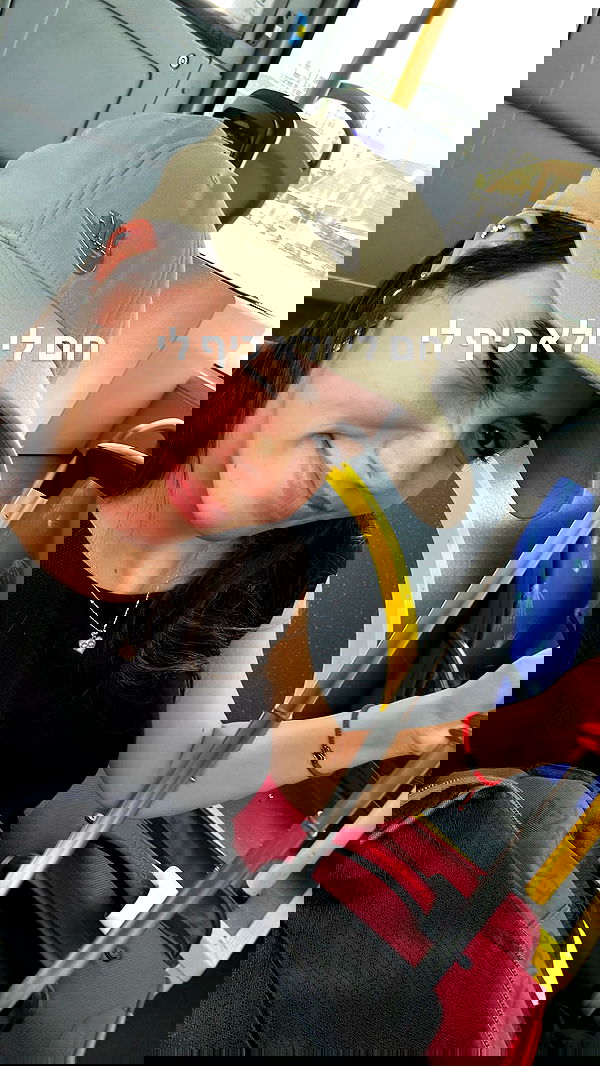 tuliprivet tuliprivet archive image