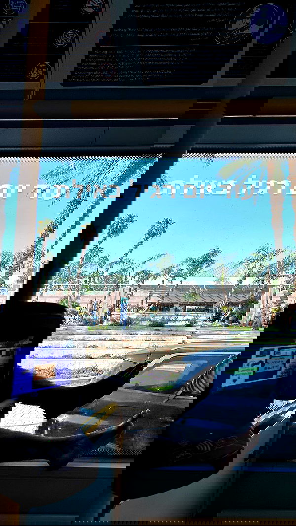 tuliprivet tuliprivet archive image