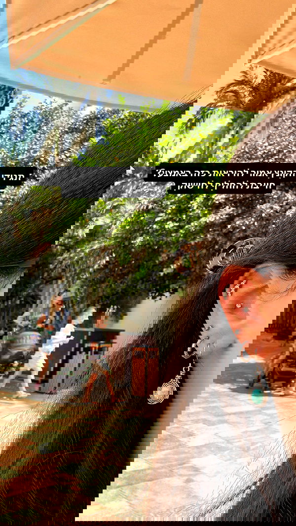 tuliprivet tuliprivet archive image