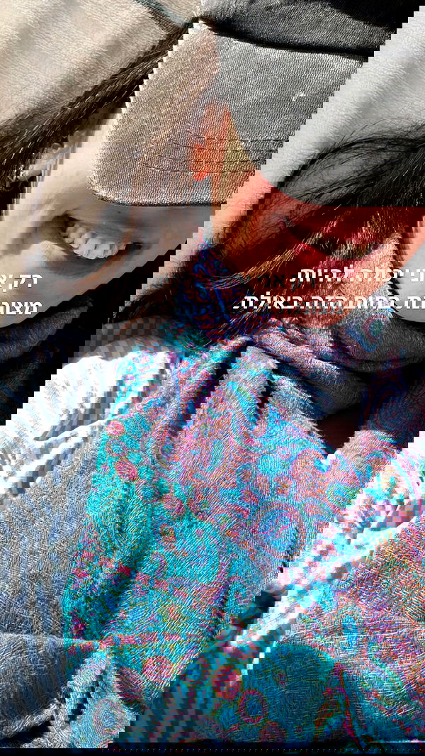 tuliprivet tuliprivet archive image