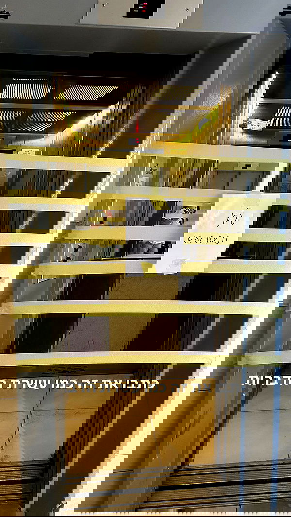 tuliprivet tuliprivet archive image