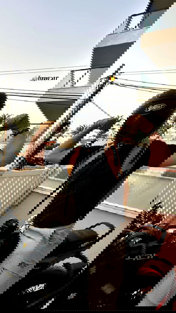 tuliprivet tuliprivet archive image