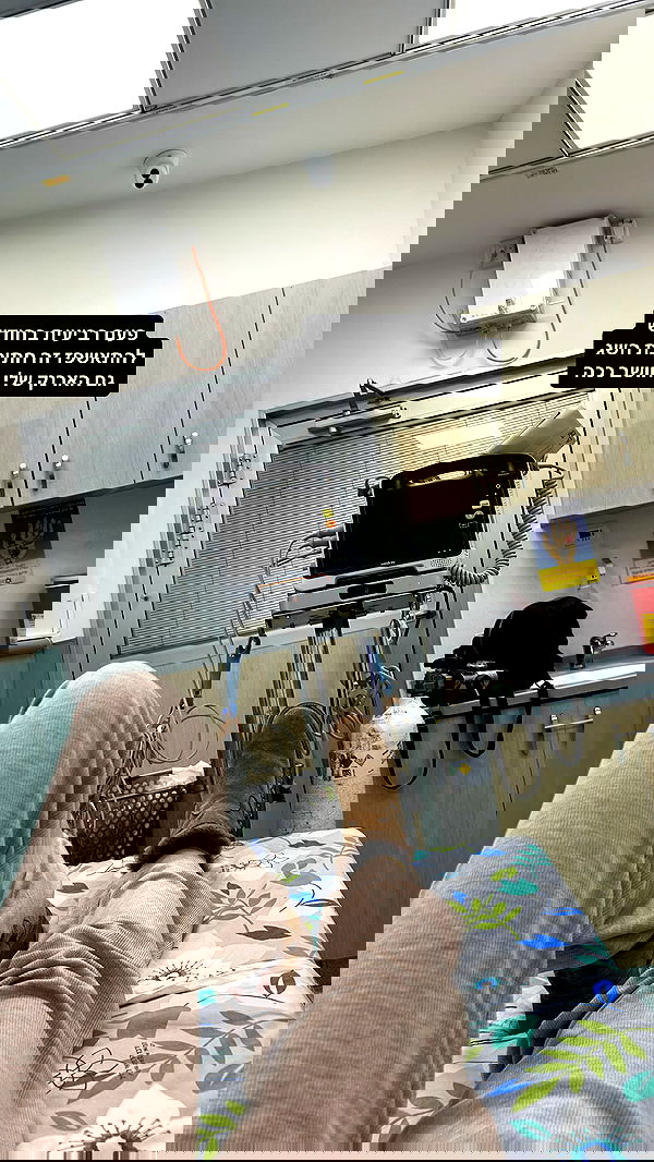 tuliprivet tuliprivet archive image