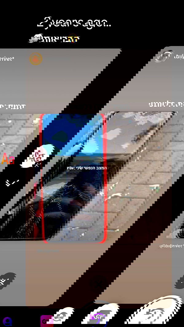 tuliprivet tuliprivet archive image