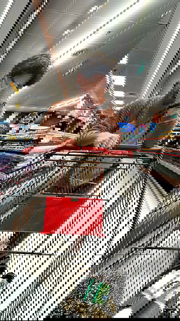 tuliprivet tuliprivet archive image