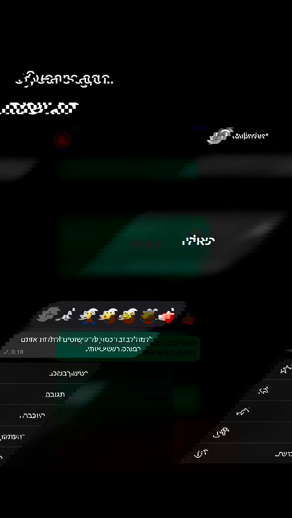 tuliprivet tuliprivet archive image