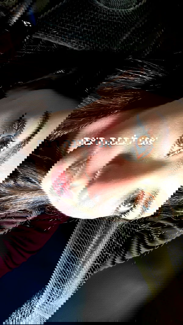 tuliprivet tuliprivet archive image