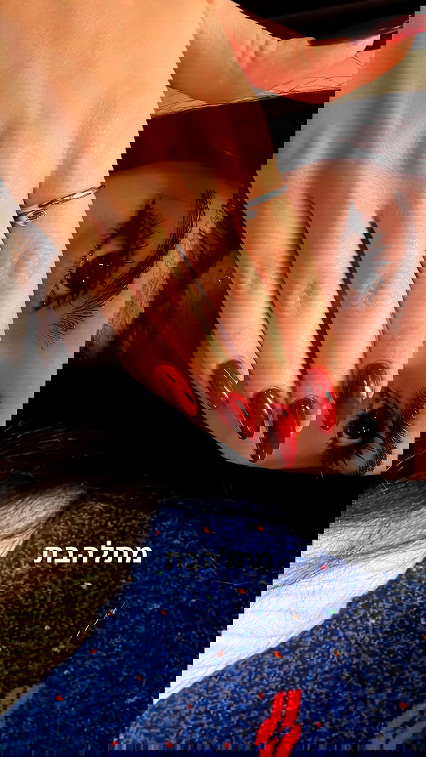 tuliprivet tuliprivet archive image