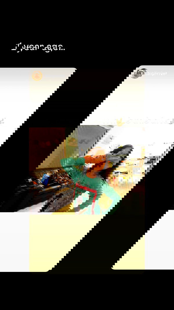 tuliprivet tuliprivet archive image