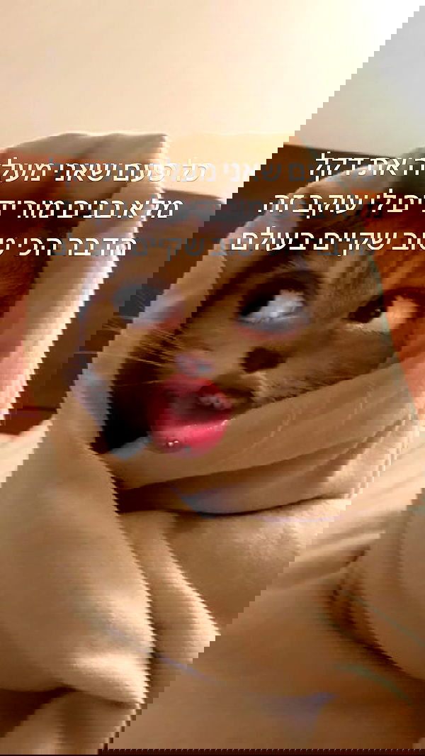 tutiiiiii666 tutiiiiii666 archive image