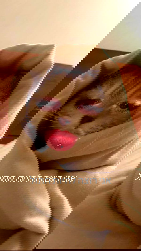 tutiiiiii666 tutiiiiii666 archive image