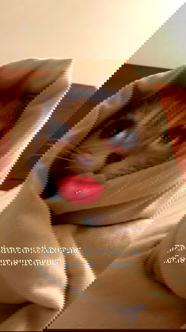 tutiiiiii666 tutiiiiii666 archive image