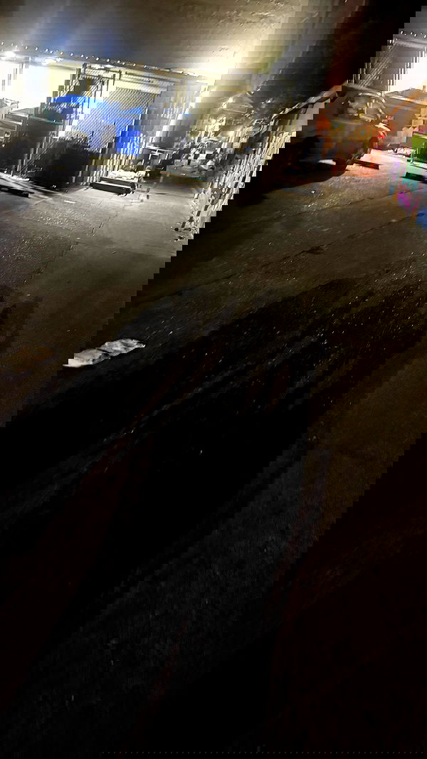 uniquexbrat image ~ Altpins