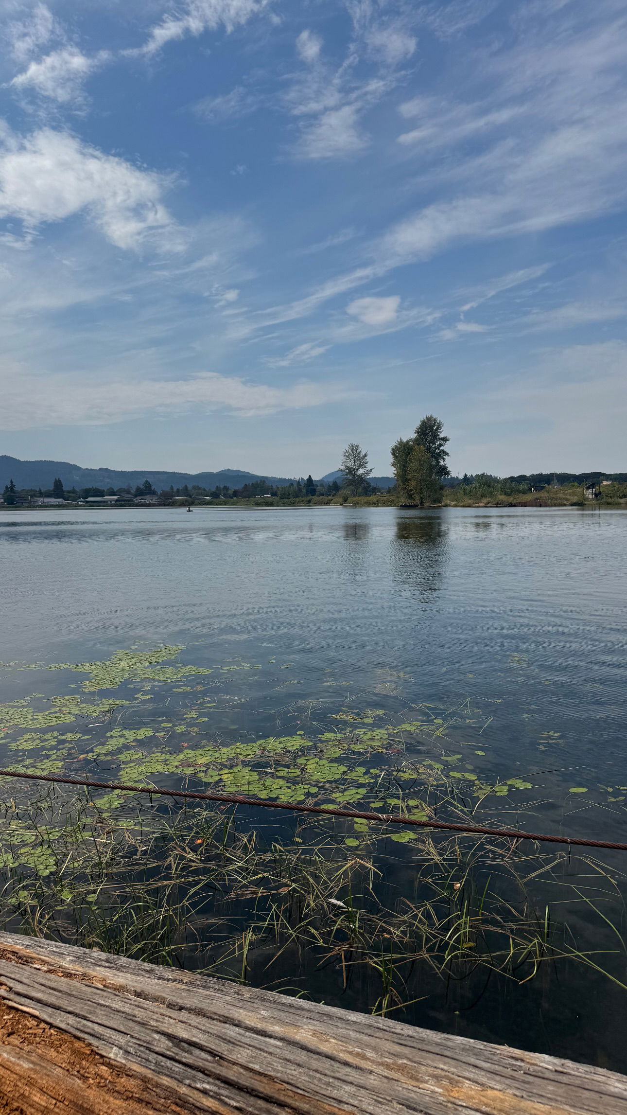 uniquexbrat instagram image archive image